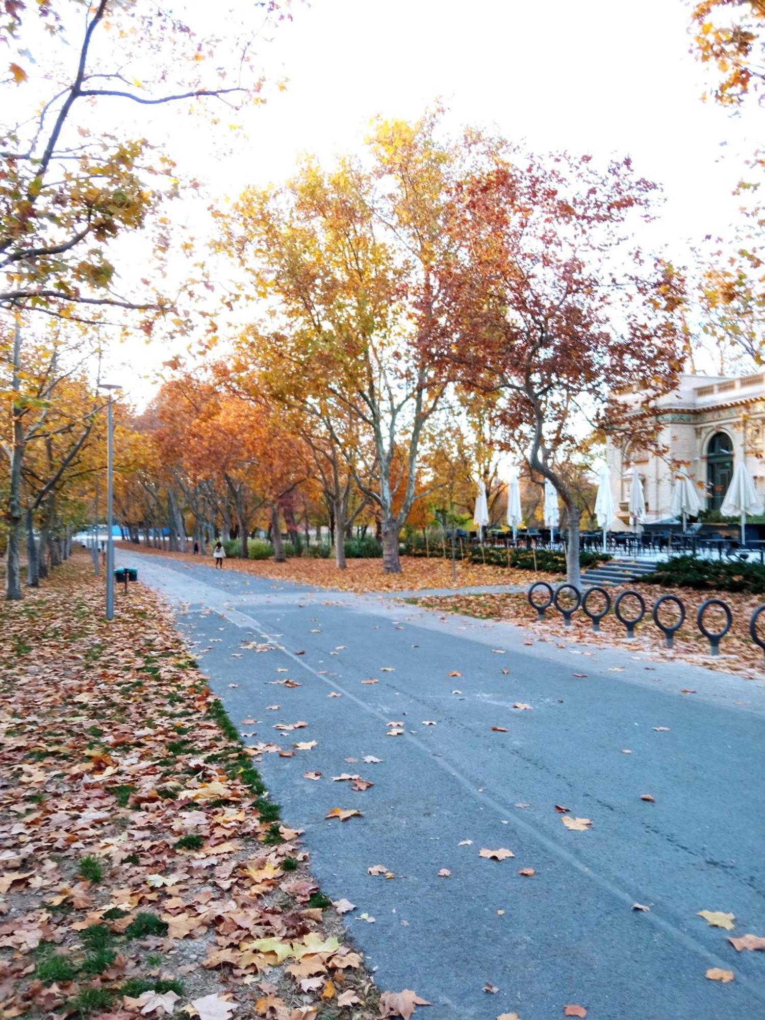 Free Parking Garage! Downtown Apartment Close To New York Cafe Budapeste Exterior foto